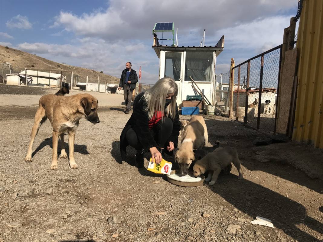 Konyalı kuaför açtığı barınakta 350 sokak köpeğinin bakımını üstleniyor 3