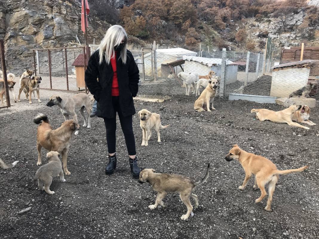 Konyalı kuaför açtığı barınakta 350 sokak köpeğinin bakımını üstleniyor 4