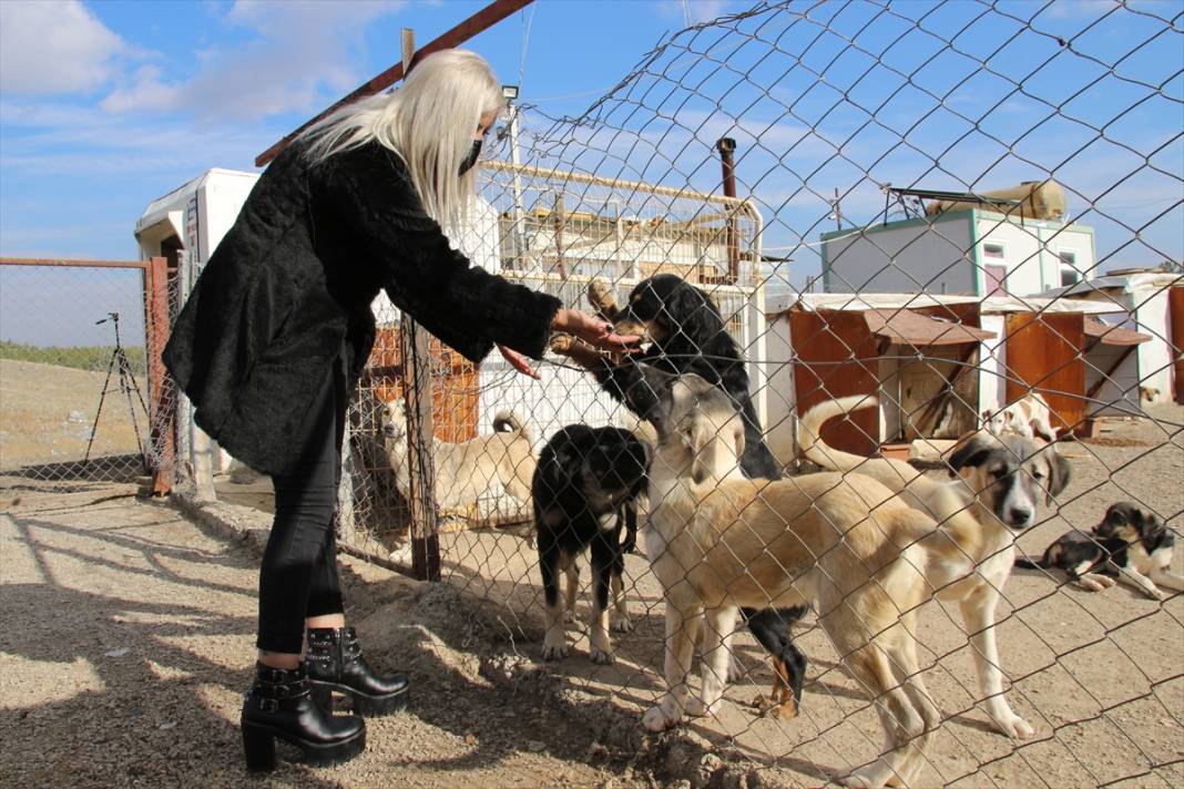 Konyalı kuaför açtığı barınakta 350 sokak köpeğinin bakımını üstleniyor 7
