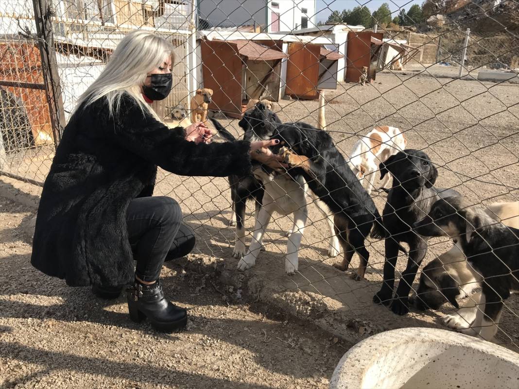 Konyalı kuaför açtığı barınakta 350 sokak köpeğinin bakımını üstleniyor 9