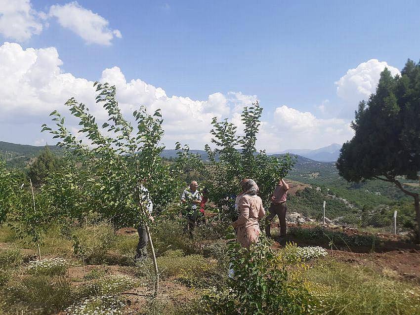 Destek aldı, Konya'da üretime başladı 5