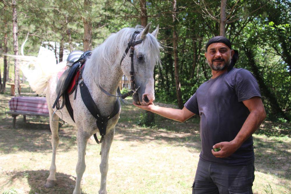 "Allah" denilince kendini tutamayan at, her seferinde aynı şeyi yapıyor 5