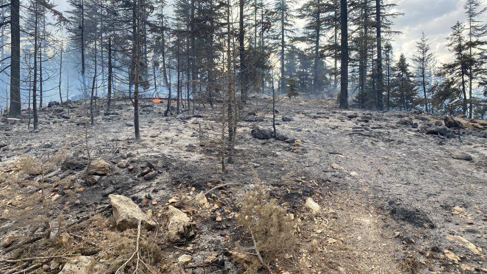 Konya’nın komşu ilinde orman yangını 9