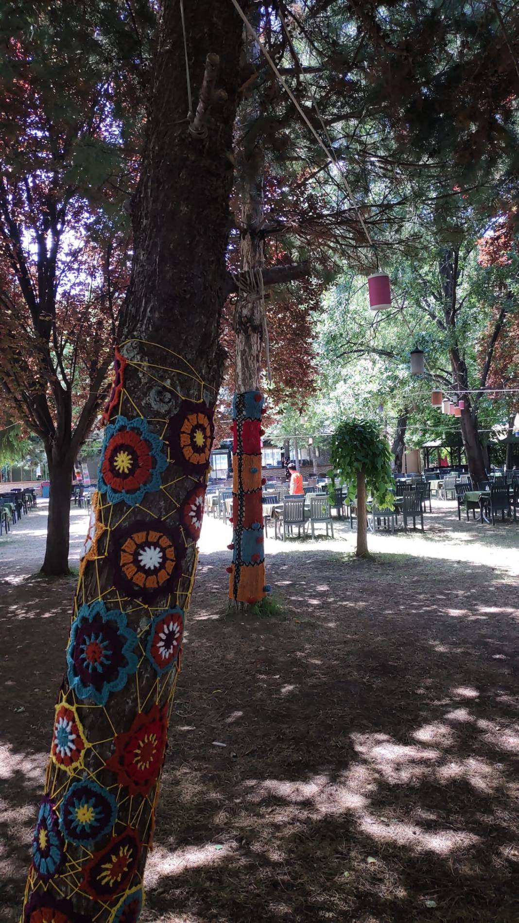 Konya’nın il olmak isteyen ilçesinde ağaçlar örgülerle süslendi 12