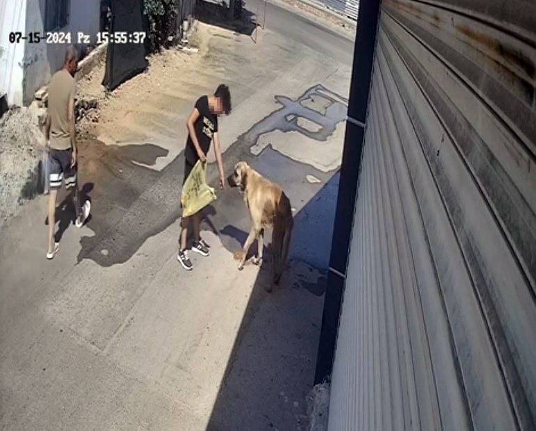 Sokak köpeği kendini besleyen çocuğa saldırdı! Olay anı kamerada 3