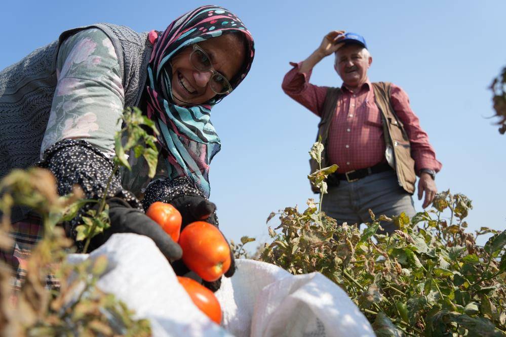 Tarlada 1, markette 38 lira olunca sosyal medyadan herkesi çağırıp bedava dağıttı 2