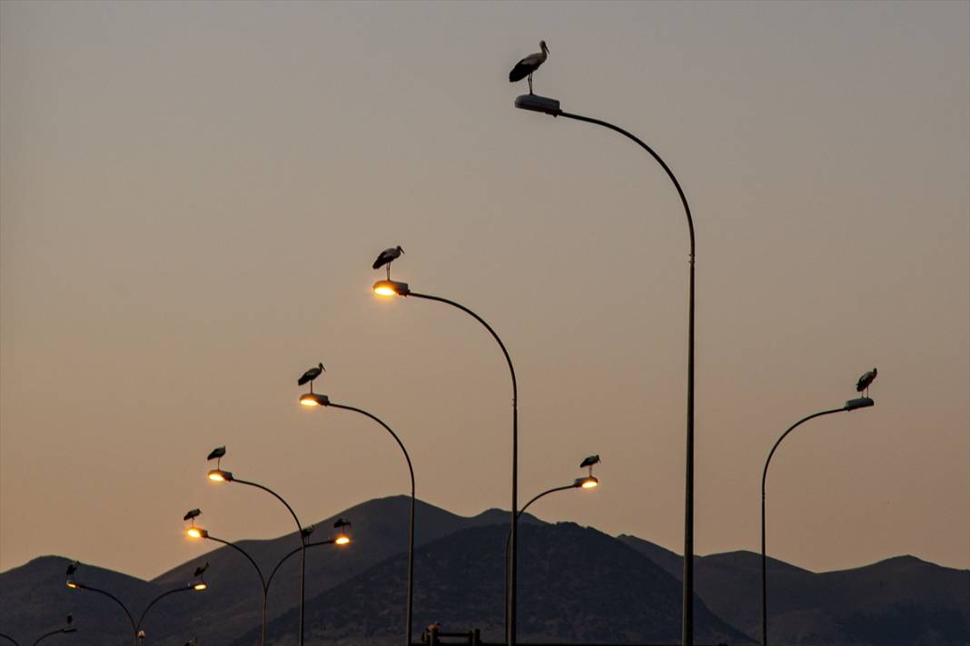 Konya semalarında görsel şölen 6