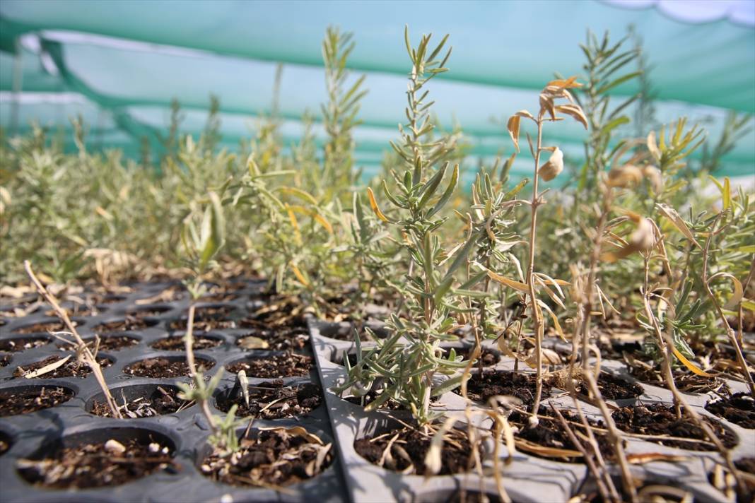 Eskişehir’de üretildi, Konya’da toprakla buluştu 8