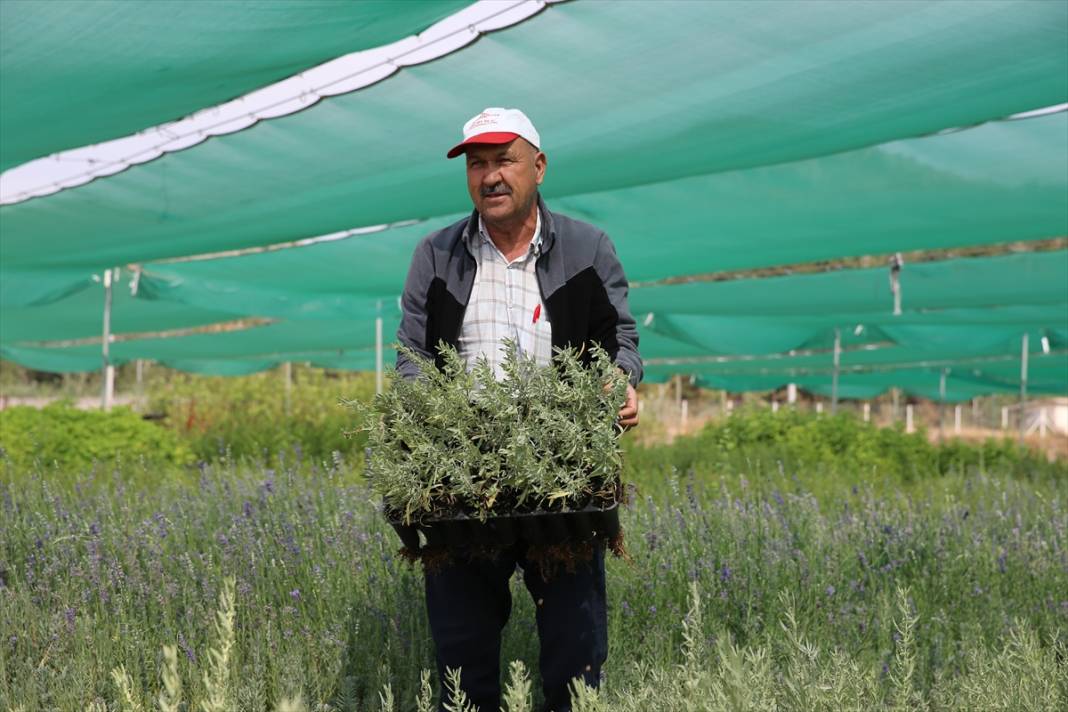 Eskişehir’de üretildi, Konya’da toprakla buluştu 7