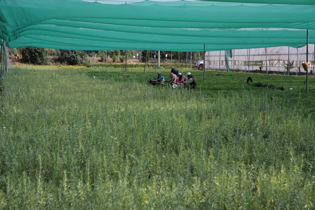 Eskişehir’de üretildi, Konya’da toprakla buluştu 3