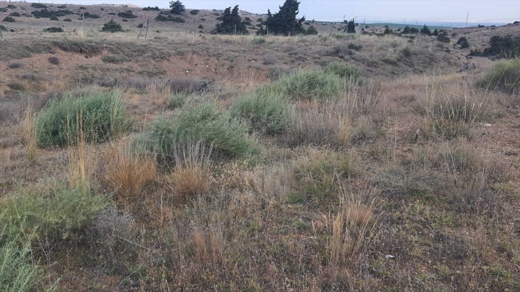 Eskişehir’de üretildi, Konya’da toprakla buluştu 2