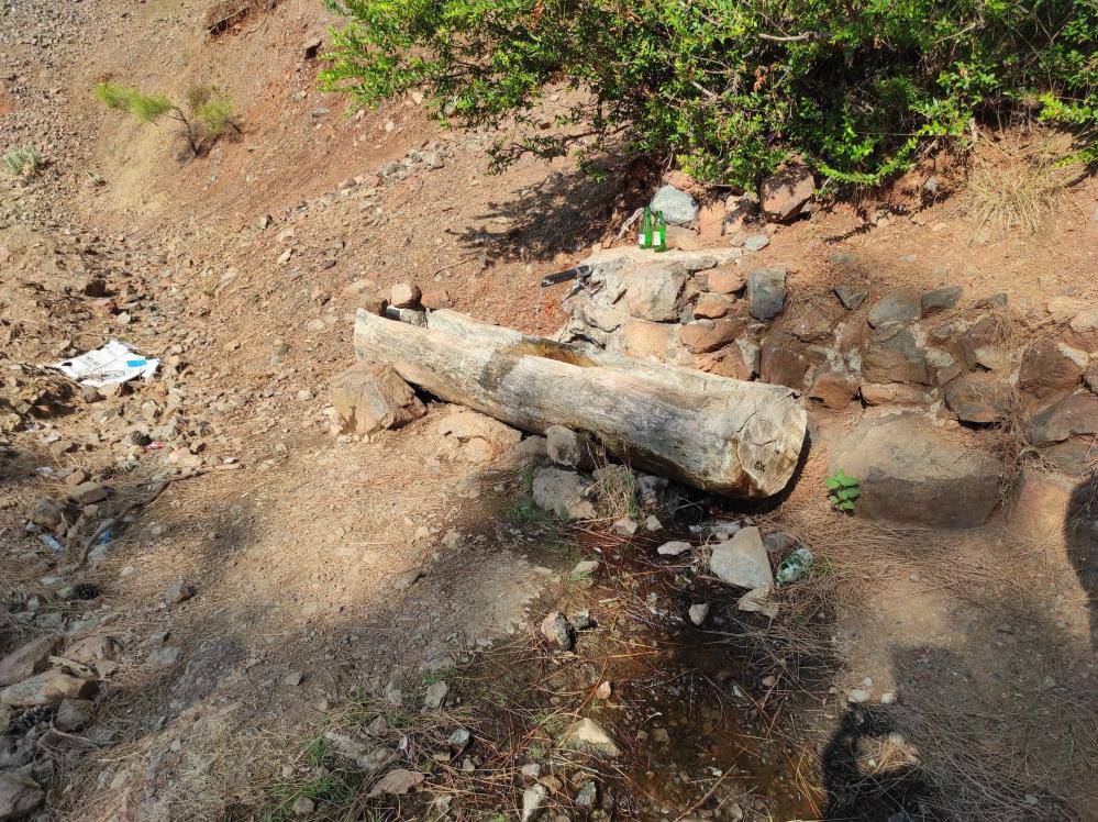 Yeni doğmuş bebek ormana terk edildi 2