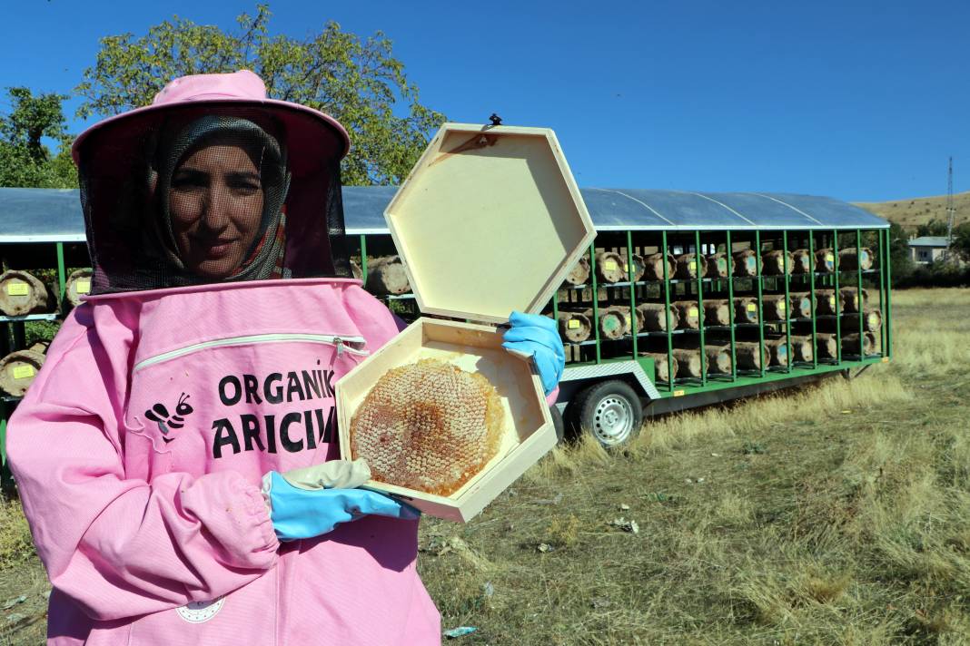 Pembe kıyafetli arıcılar bal hasadına başladı 3