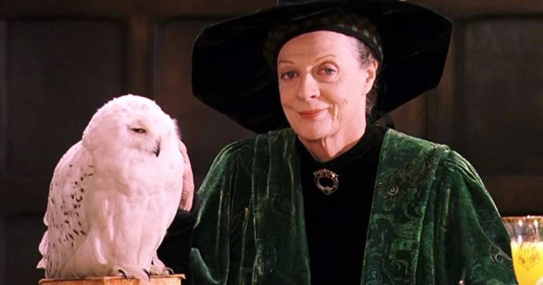 Harry Potter serisinin ünlü oyuncusu Maggie Smith hayatını kaybetti 4