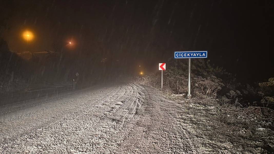 İlk kar düştü, duyan fotoğraf çekmek için koştu 6