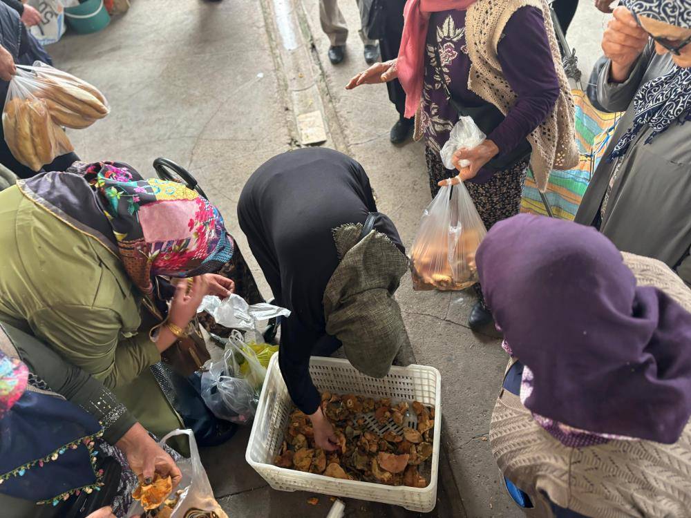 Kilosu 200 lirayı buluyor! Vatandaş toplamak için ormana akın etti 7