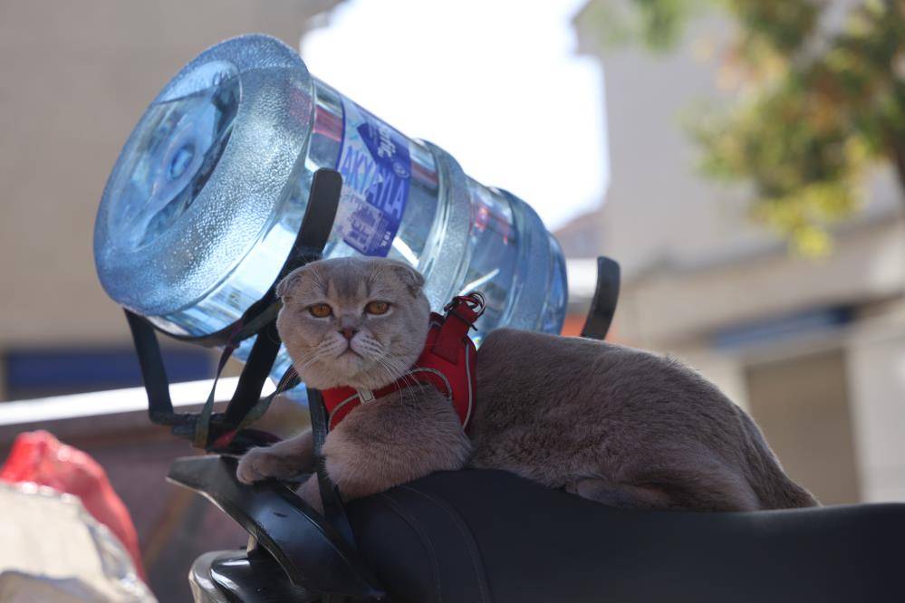 Konya’nın kedili tüpçüsü! Mesaiyi motosiklette tamamlıyor 5