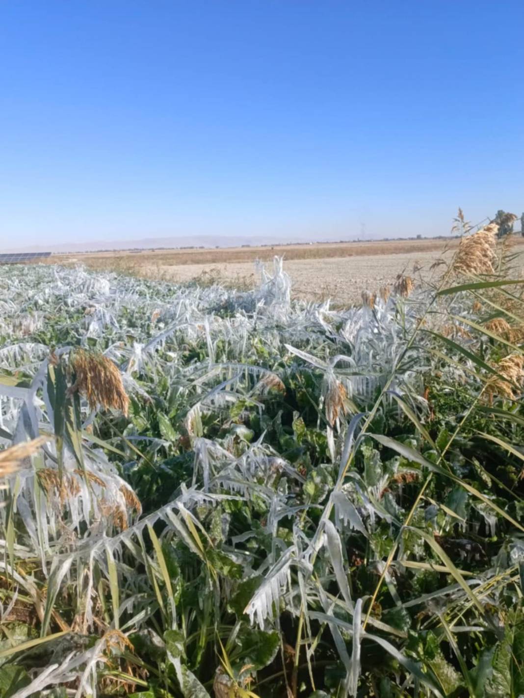 Yeni haftada Konya’da hava nasıl olacak? 2