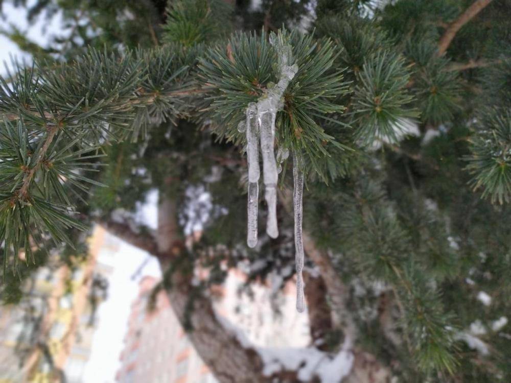 Yeni haftada Konya’da hava nasıl olacak? 11