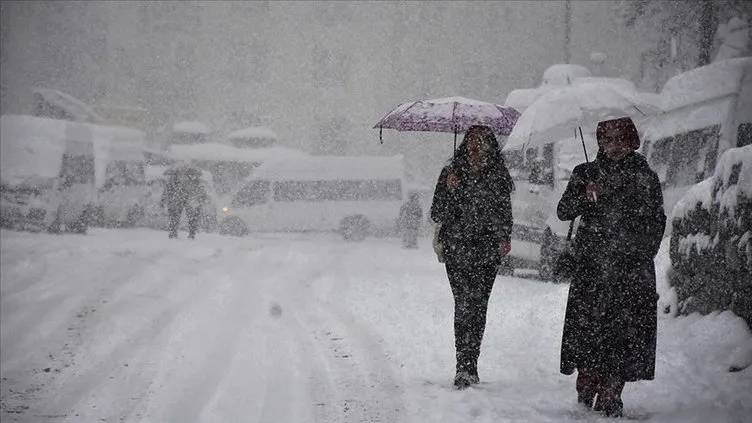 La Nina kışı kapıda: 50 - 60 yılın en soğuk kışı yaşanacak 4