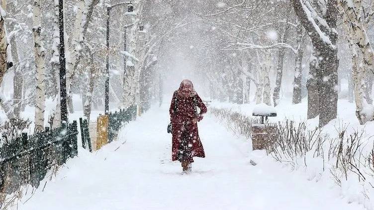 La Nina kışı kapıda: 50 - 60 yılın en soğuk kışı yaşanacak 3