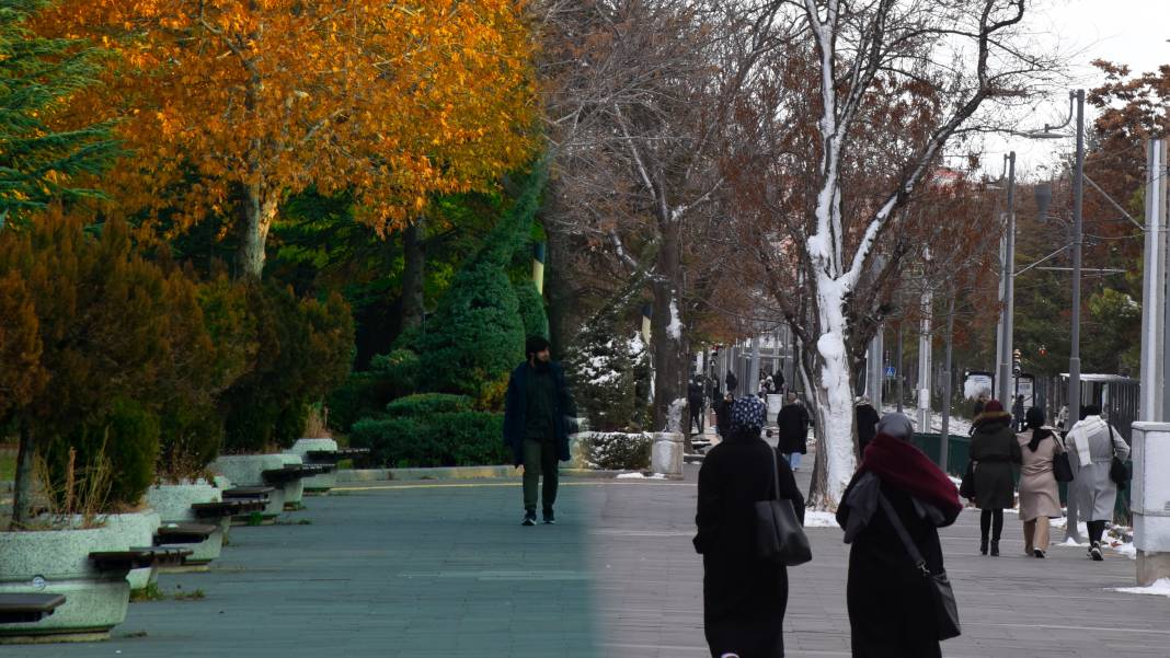 Selçuk Üniversitesi'nde mevsimler bir araya geldi 6