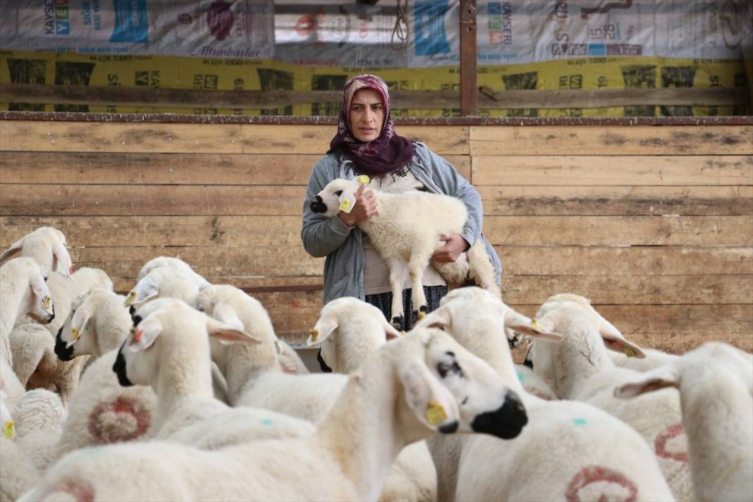 20 koyunla besiciliğe başladı, hayvan sayısını 400'e çıkardı 1
