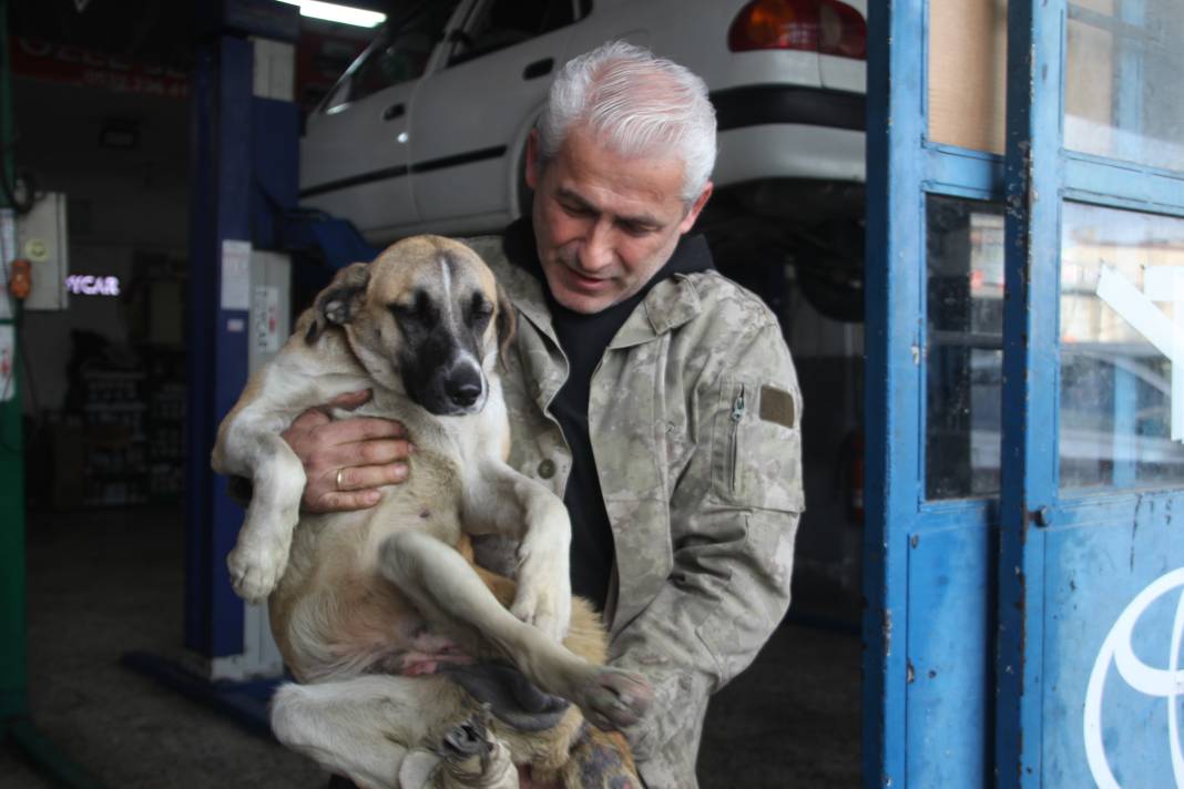 Oto tamircisi, sakat kalan köpeğini yeniden hayata bağladı 1