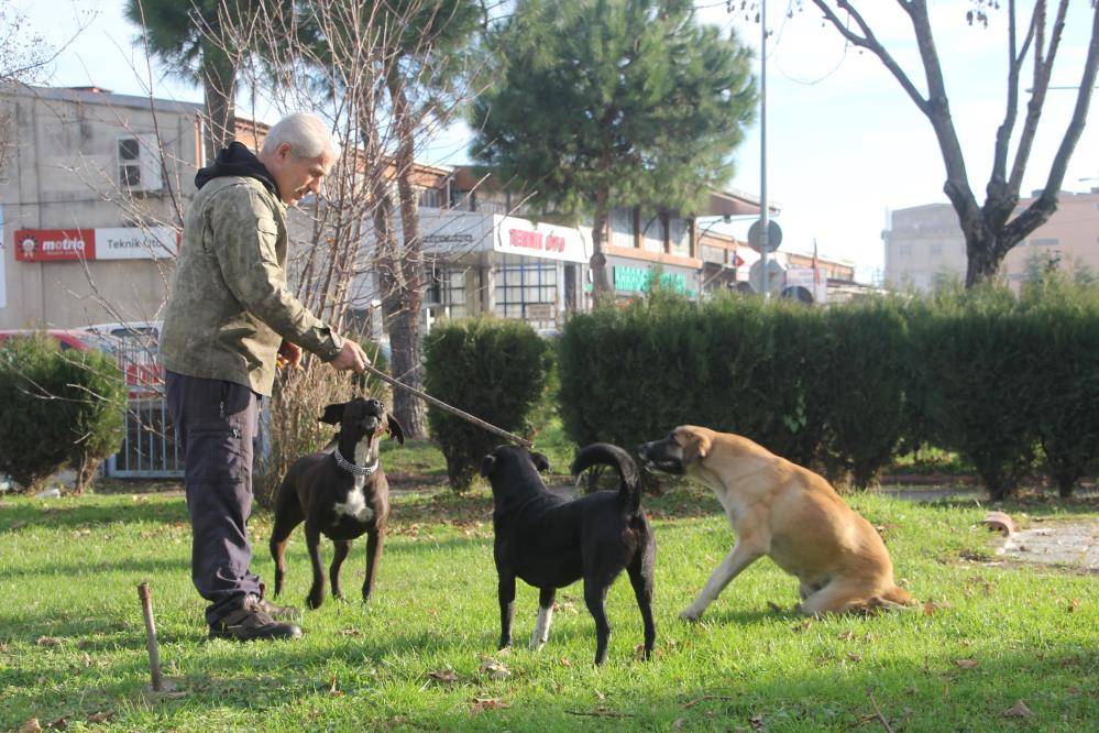 Oto tamircisi, sakat kalan köpeğini yeniden hayata bağladı 8