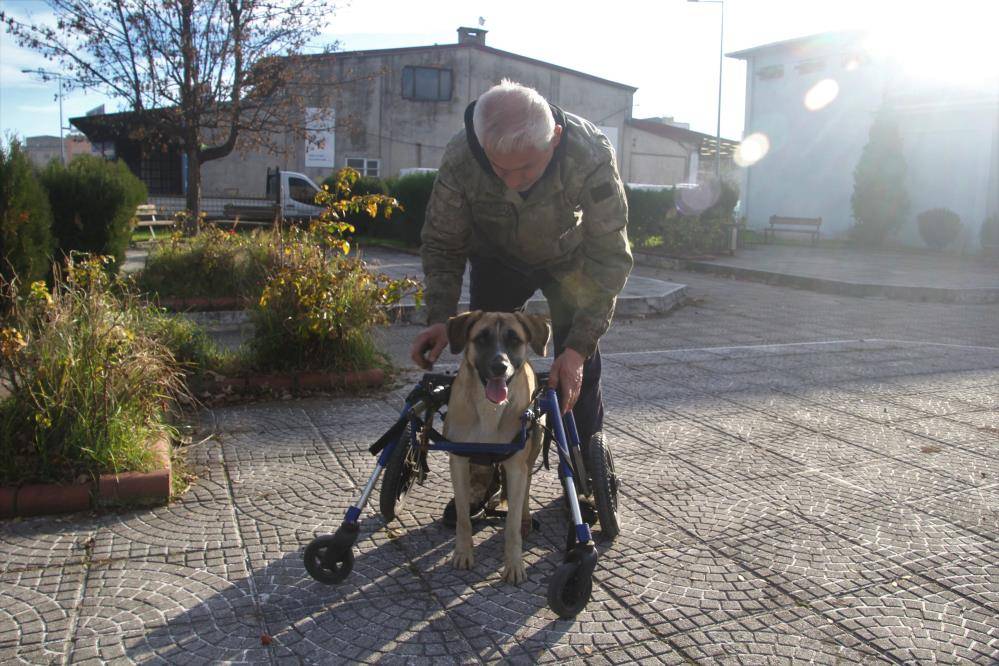 Oto tamircisi, sakat kalan köpeğini yeniden hayata bağladı 4