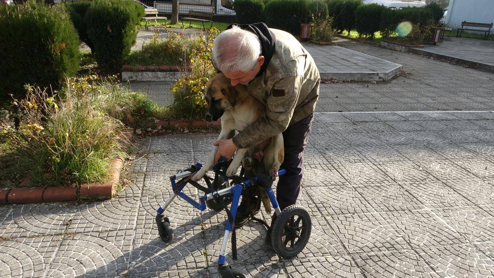 Oto tamircisi, sakat kalan köpeğini yeniden hayata bağladı 3