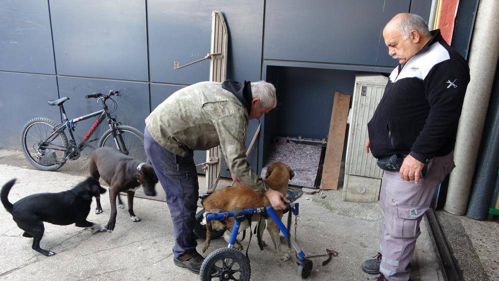 Oto tamircisi, sakat kalan köpeğini yeniden hayata bağladı 6