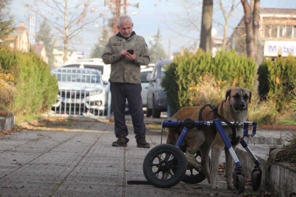 Oto tamircisi, sakat kalan köpeğini yeniden hayata bağladı 7