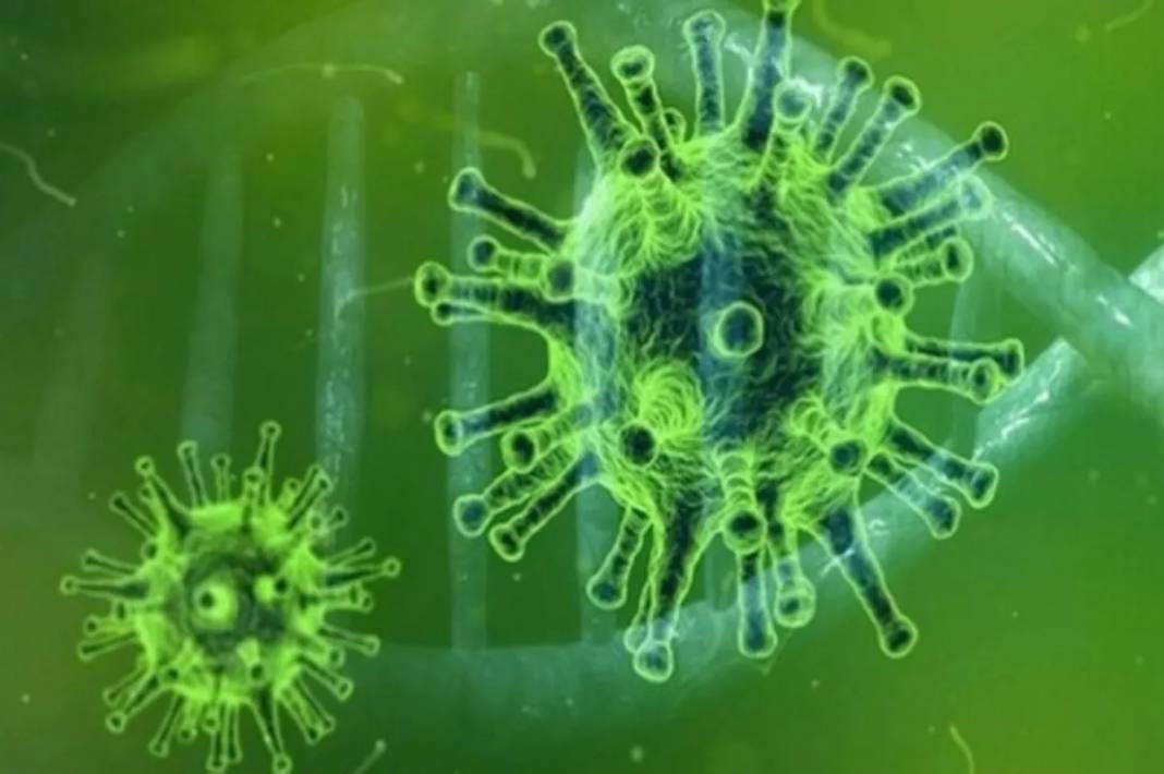 Üç farklı türde ortaya çıkıyor! Konya’da artan salgına karşı uzmandan kritik uyarı 10