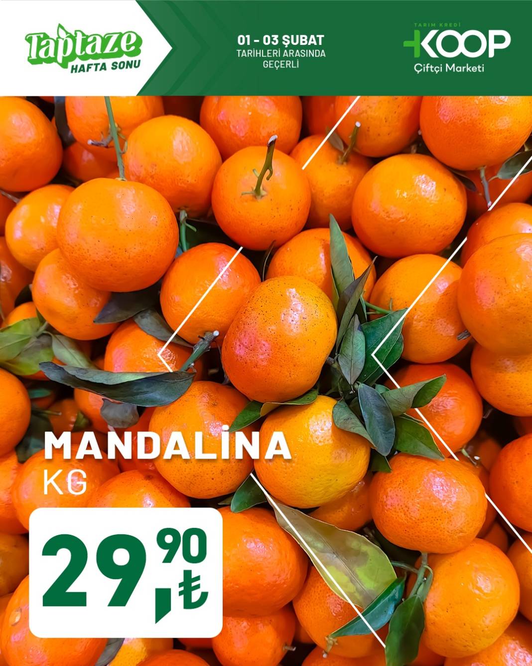 Tarım Kredi Market’in yeni fırsatları raflarda 7