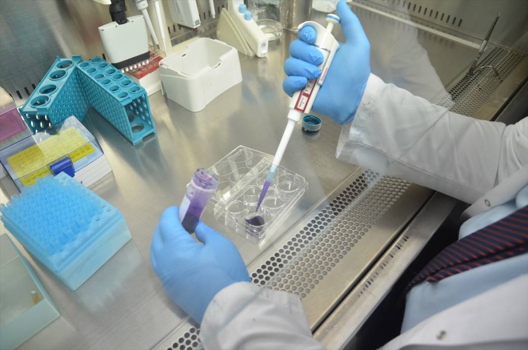 Konya’dan literatüre yeni bir akrep! Soyadını verdi 5