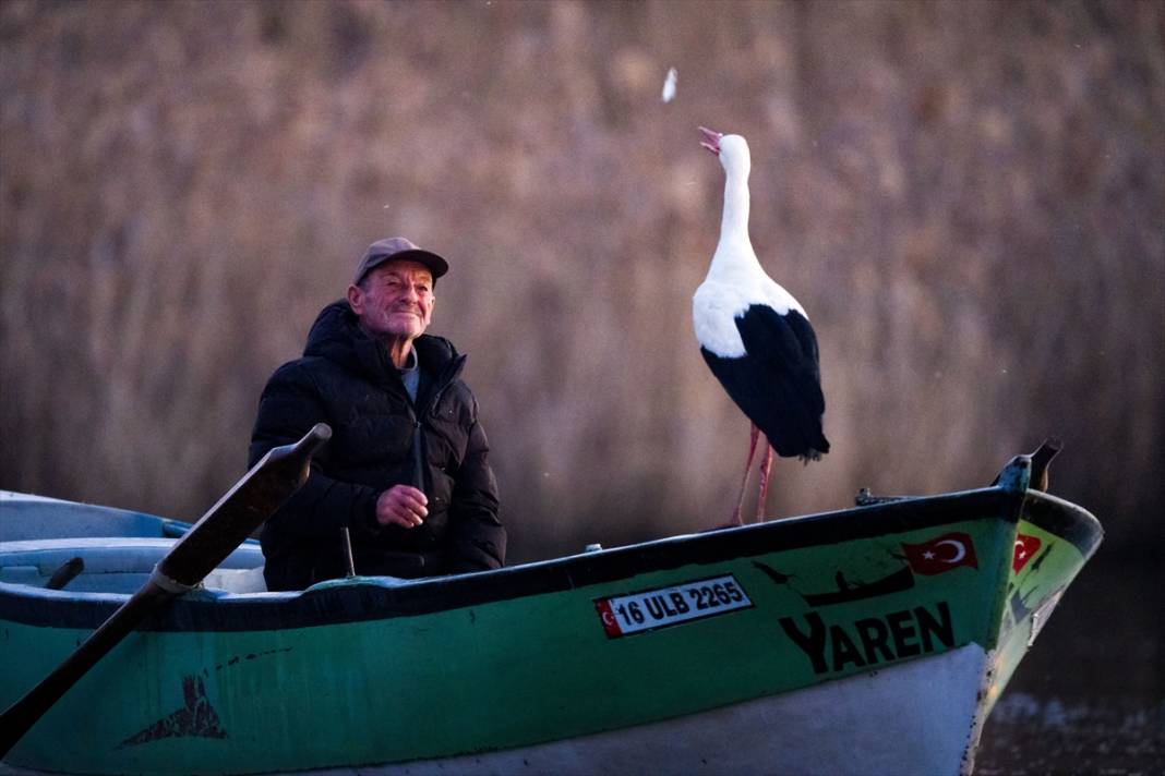 Türkiye’de leylek mevsimi! Konya hep güzergâhlarında 1