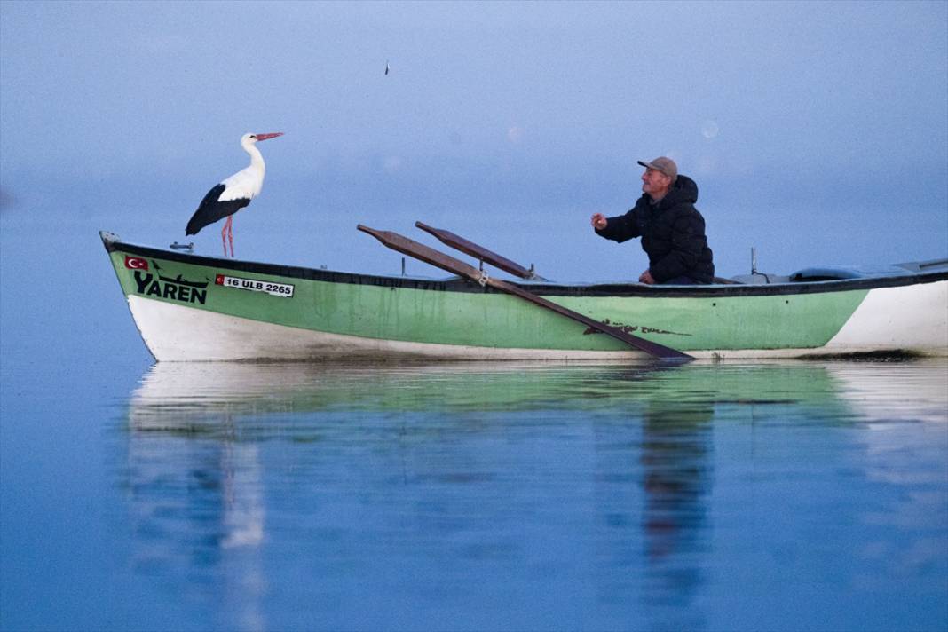 Türkiye’de leylek mevsimi! Konya hep güzergâhlarında 6