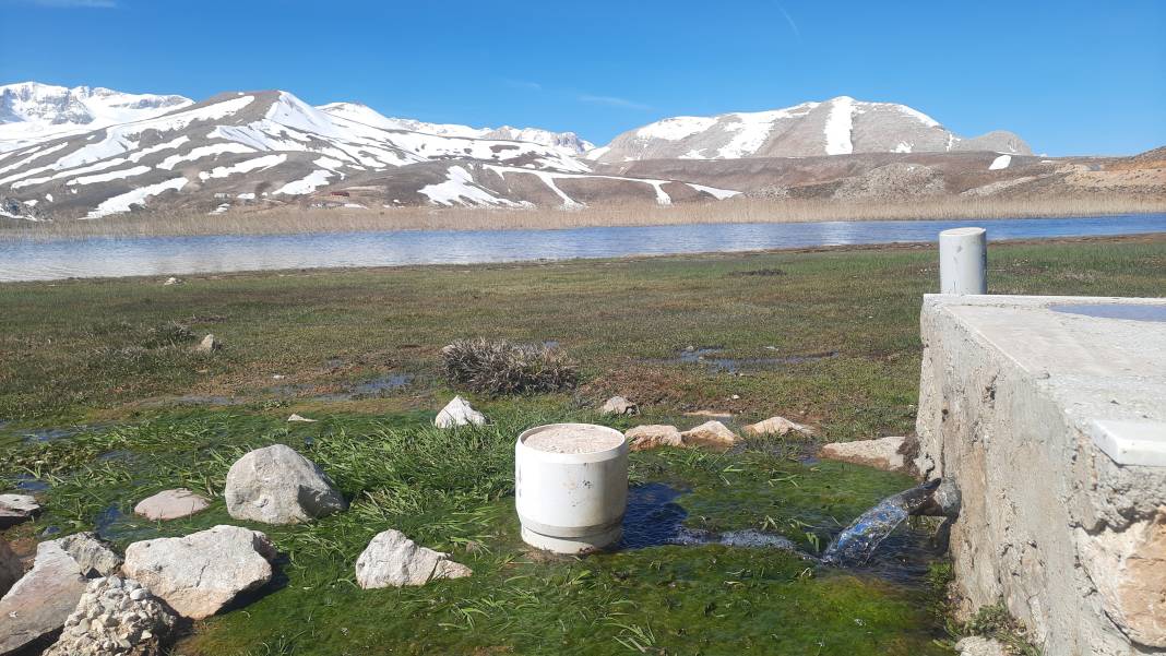 Torosların endemik hazinesi açtı, Konyalılar hayran kaldı 7