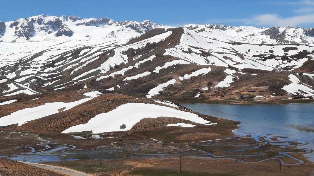 Torosların endemik hazinesi açtı, Konyalılar hayran kaldı 6