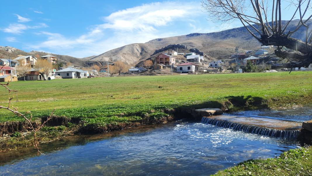 Torosların endemik hazinesi açtı, Konyalılar hayran kaldı 8