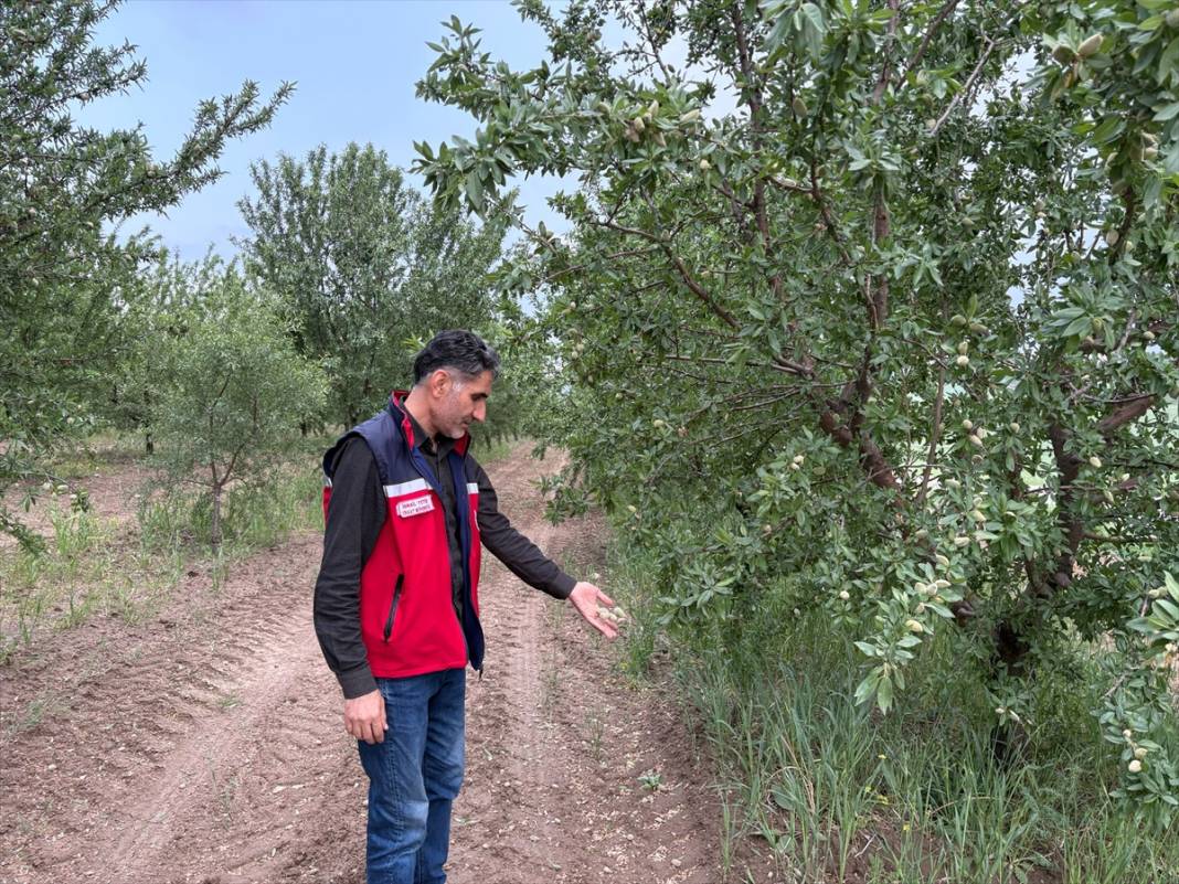 Yumurta büyüklüğünde dolu bir şehri talan etti 2