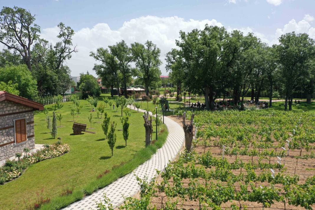 Konya’nın yeşiliyle ünlü ilçesi Meram’da yaz masala dönüşüyor 8