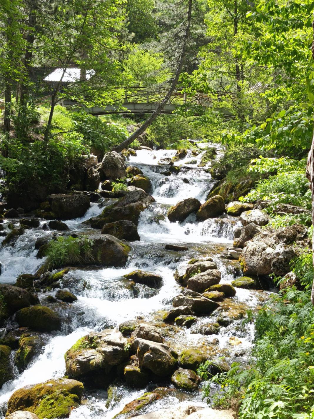 Bu saklı cennet, Konya’ya sadece 2 saat uzakta 24
