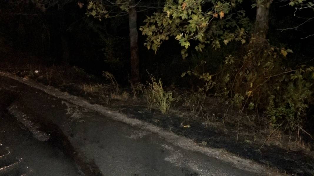 Gören film sandı! TIR, 8 kilometre alevler içinde ilerledi 21