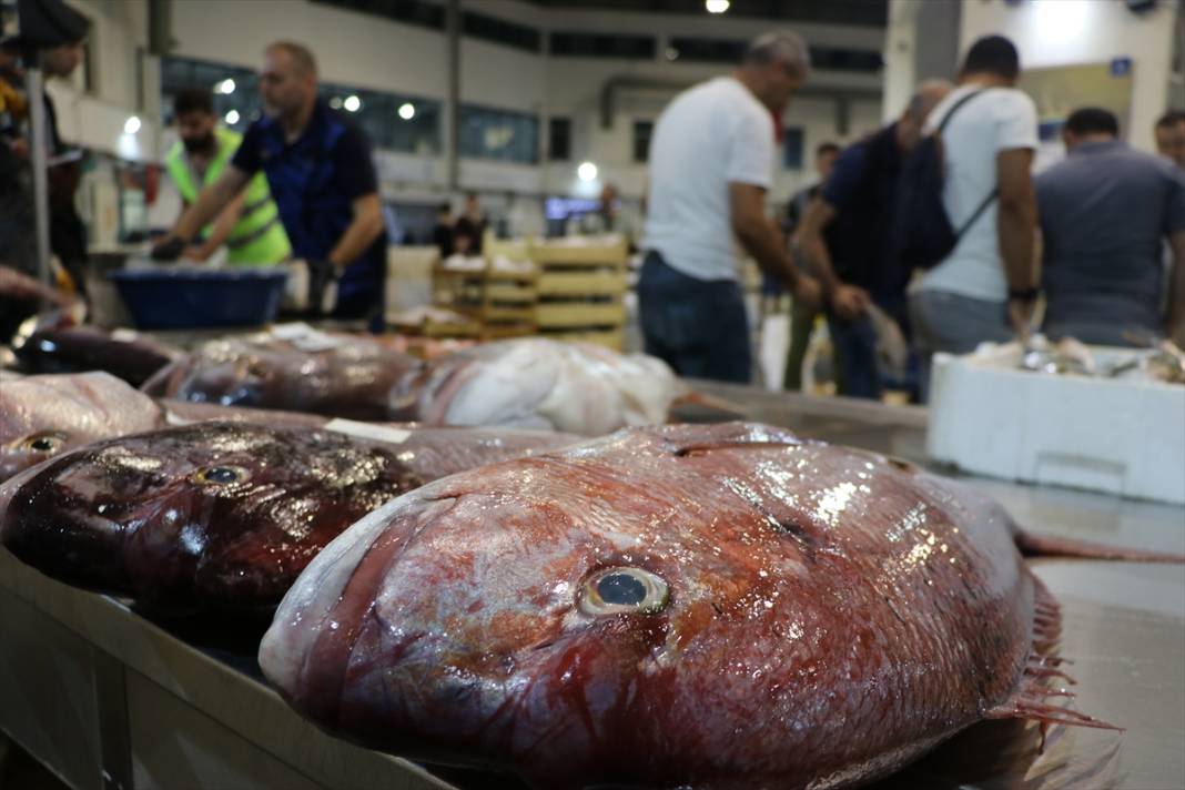 Derya kuzuları için “vira bismillah” denildi! Ağlar doldu, balıkçılar umutlu 1