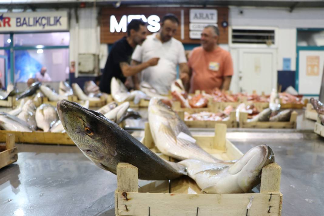 Derya kuzuları için “vira bismillah” denildi! Ağlar doldu, balıkçılar umutlu 5