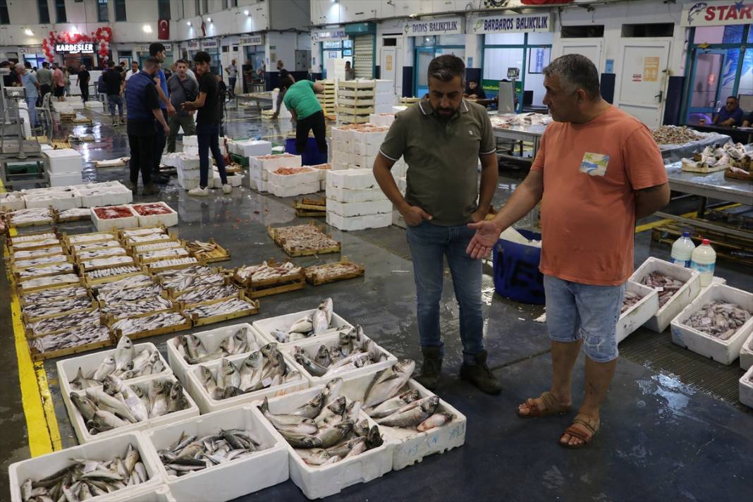 Derya kuzuları için “vira bismillah” denildi! Ağlar doldu, balıkçılar umutlu 2