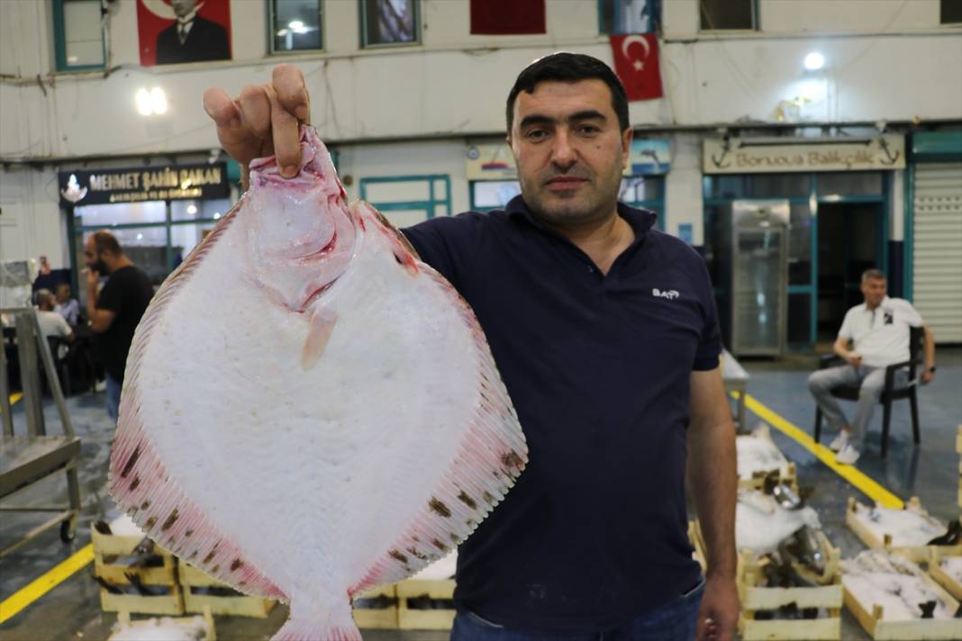 Derya kuzuları için “vira bismillah” denildi! Ağlar doldu, balıkçılar umutlu 8