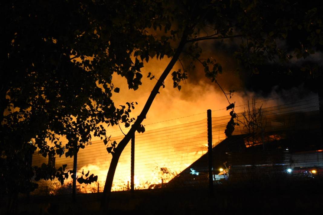 Kereste fabrikası alevler içinde kaldı 7